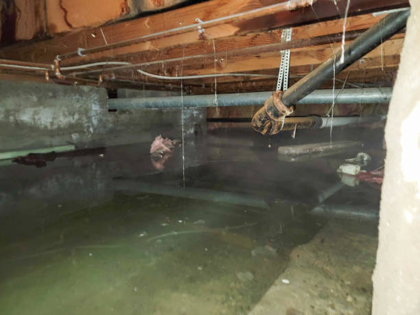 Reliable Denton, TX Water damage restoration Solutions
