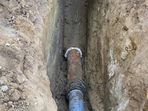 Best Basement water damage restoration  in Denton, TX