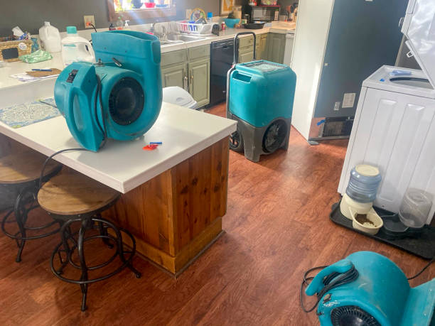 Best Commercial water damage restoration  in Denton, TX