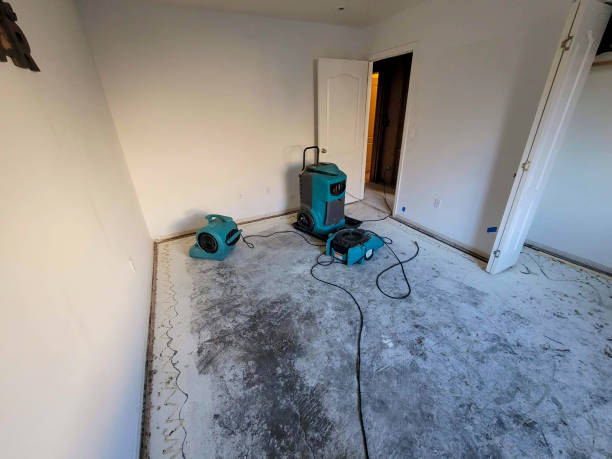 Best Emergency water damage restoration  in Denton, TX