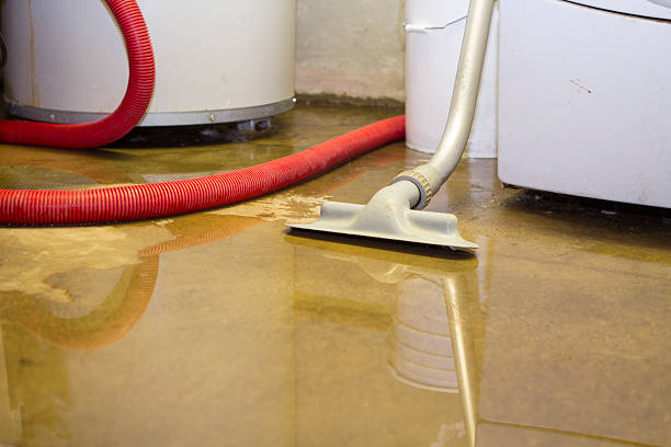 Best Carpet water damage restoration  in Denton, TX