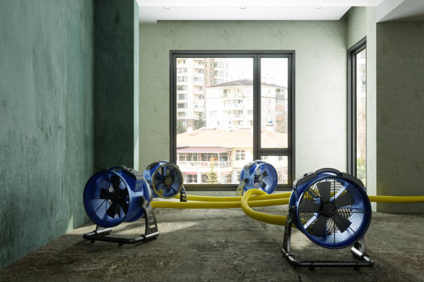 Best Water damage restoration process  in Denton, TX